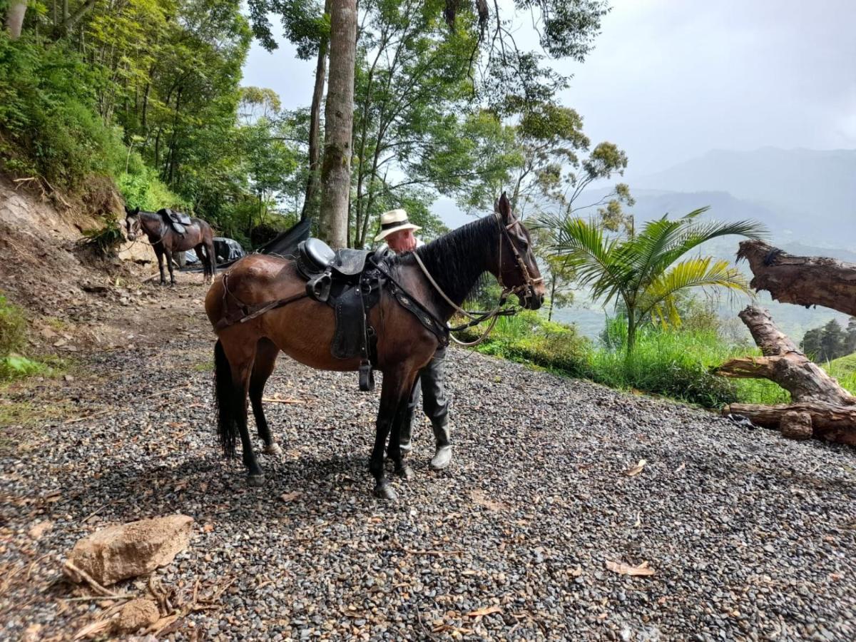 Hotel Islamontana Glamping à Fomeque Extérieur photo
